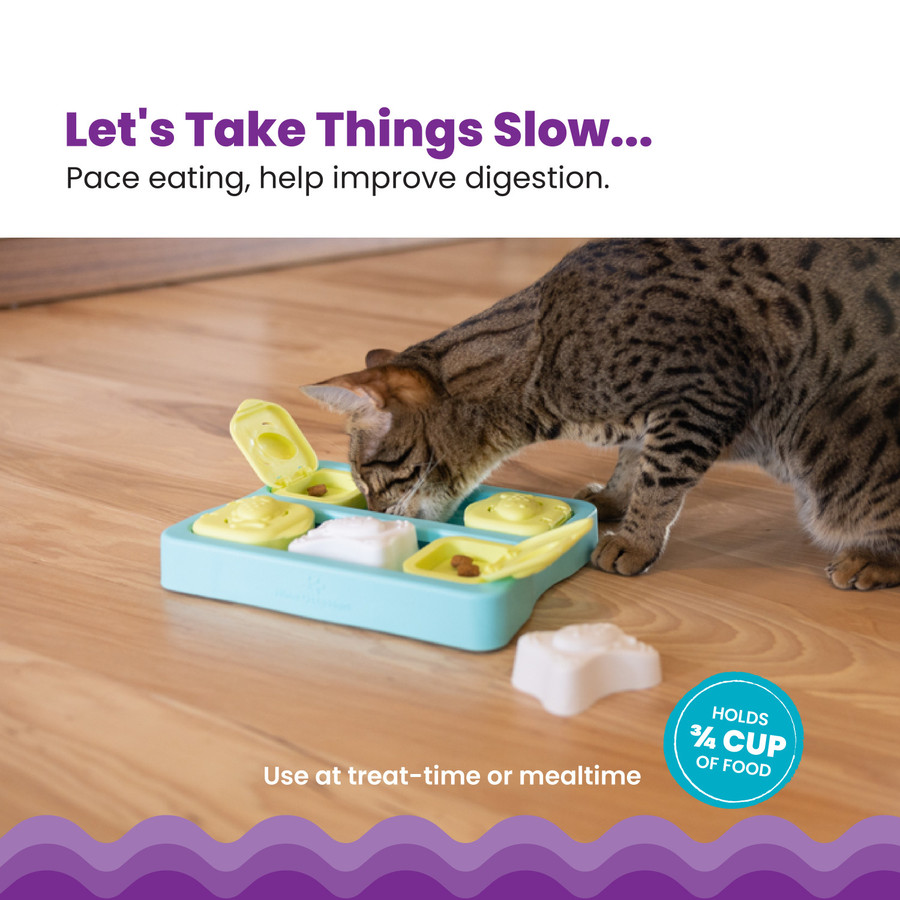 Kitty Cube Puzzle For Cats