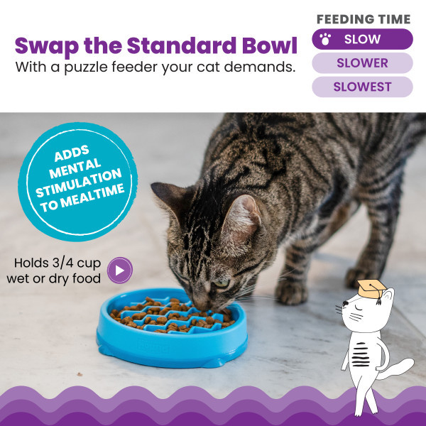 Kitty Slow Feeder Cat Bowl Blue Small