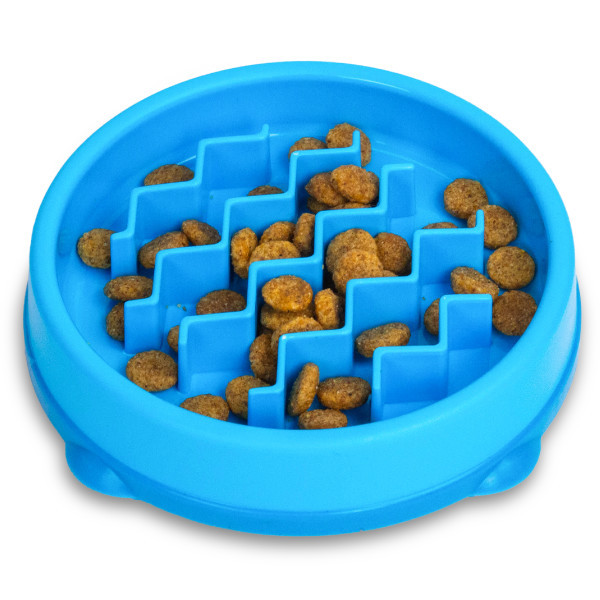Kitty Slow Feeder Cat Bowl Blue Small