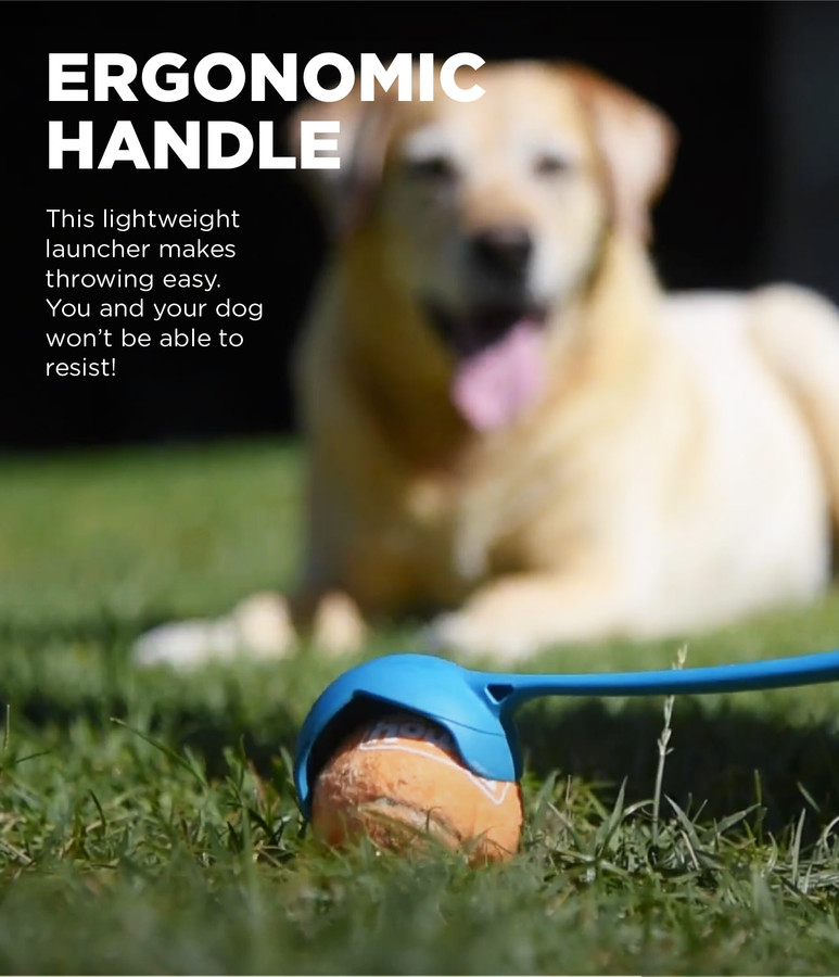 Launch A Ball Dog Ball Launcher Turquoise