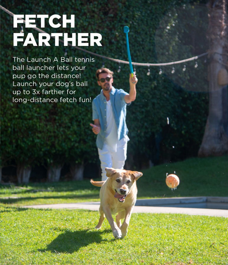 Launch A Ball Squeak Dog Ball Launcher Turquoise