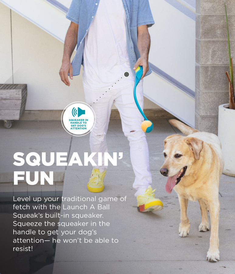 Launch A Ball Squeak Dog Ball Launcher Turquoise