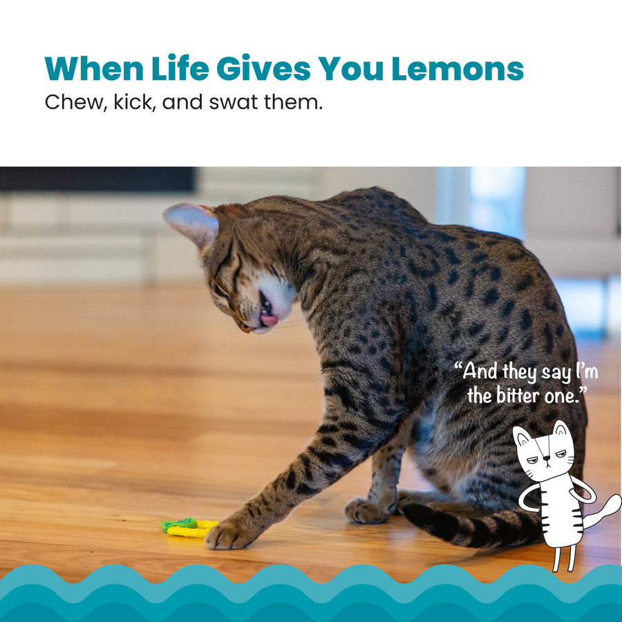 Lemon Teether Yellow