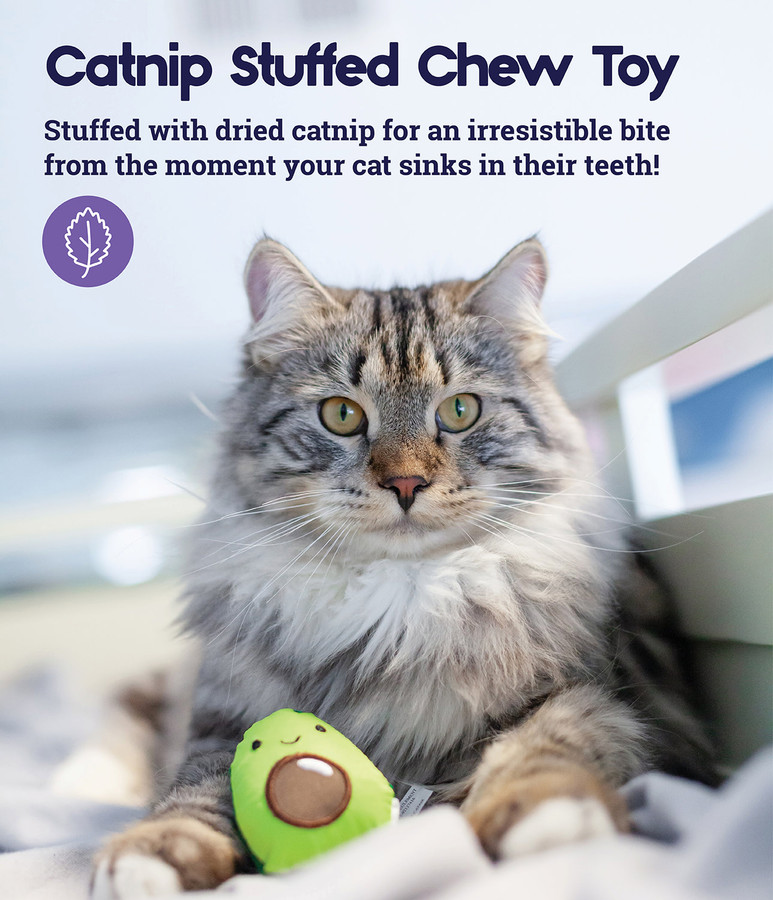Lil' Avocato Dental Health Cat Chew Toy Green