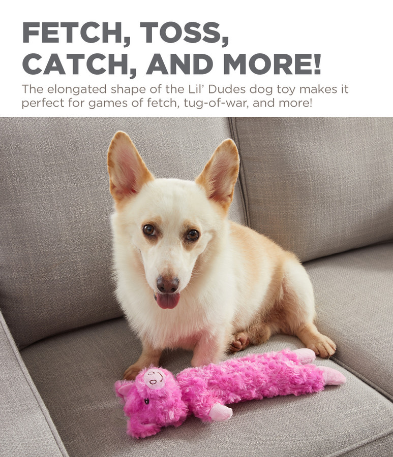 Lil' Dudes Plush Dog Toy