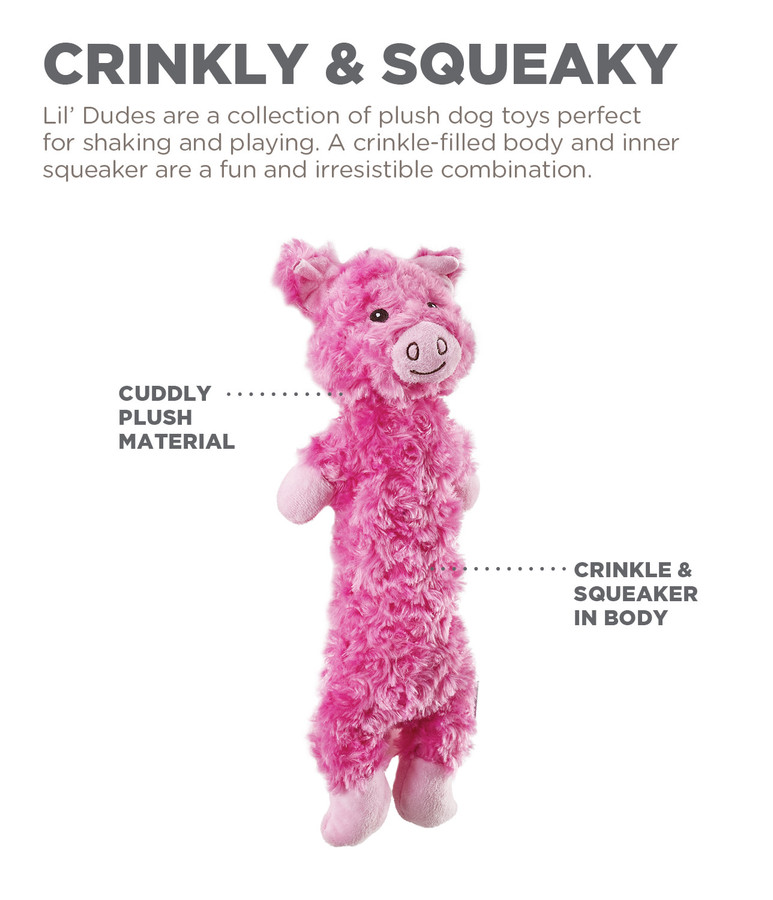 Lil' Dudes Plush Dog Toy