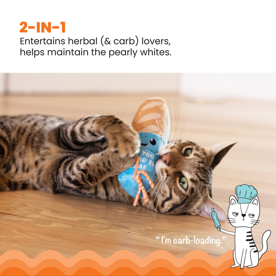 Loaf Kicker Catnip Toy And Dental Toy For Cats