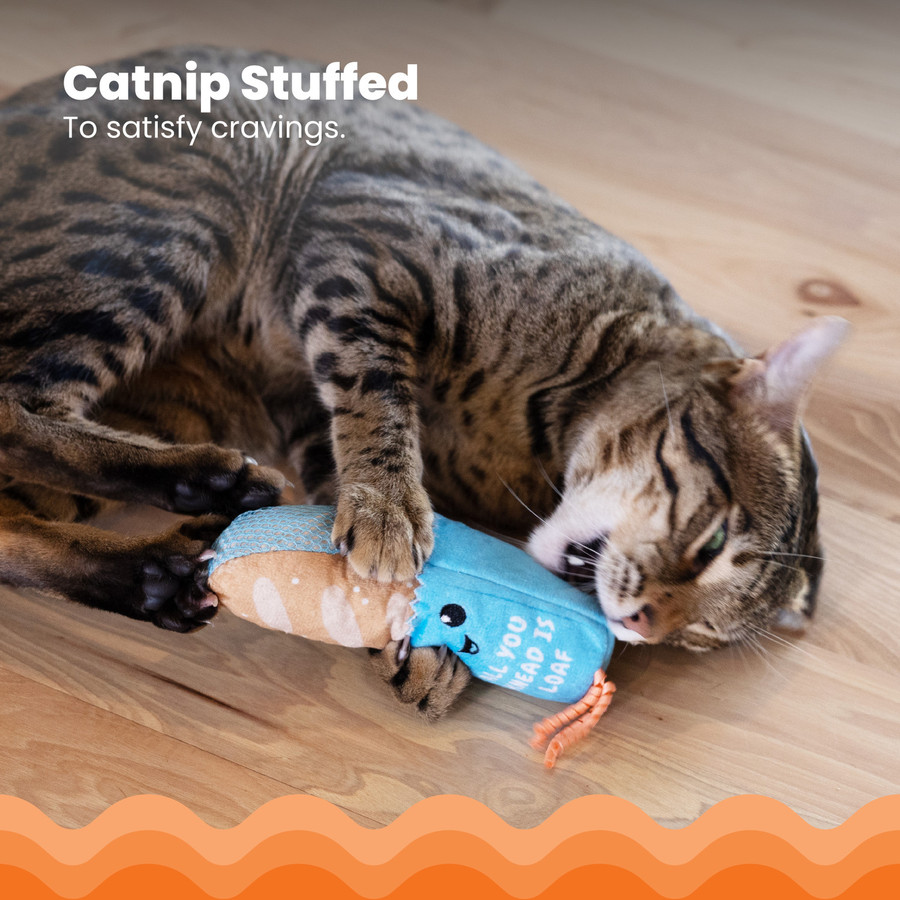 Loaf Kicker Catnip Toy And Dental Toy For Cats