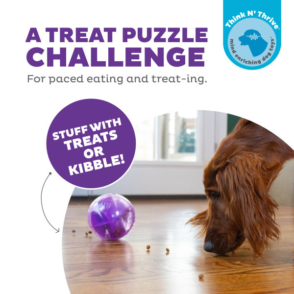 Mazee Interactive Puzzle Dog Toy Purple