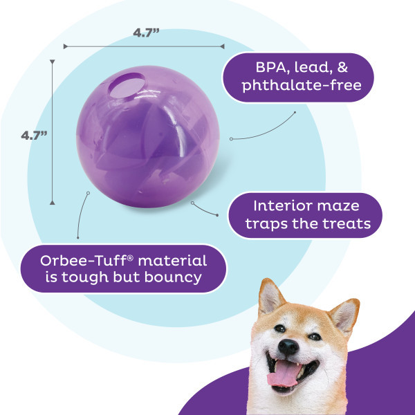 Mazee Interactive Puzzle Dog Toy Purple