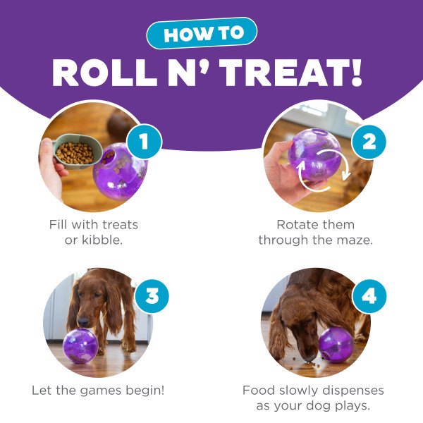 Mazee Interactive Puzzle Dog Toy Purple