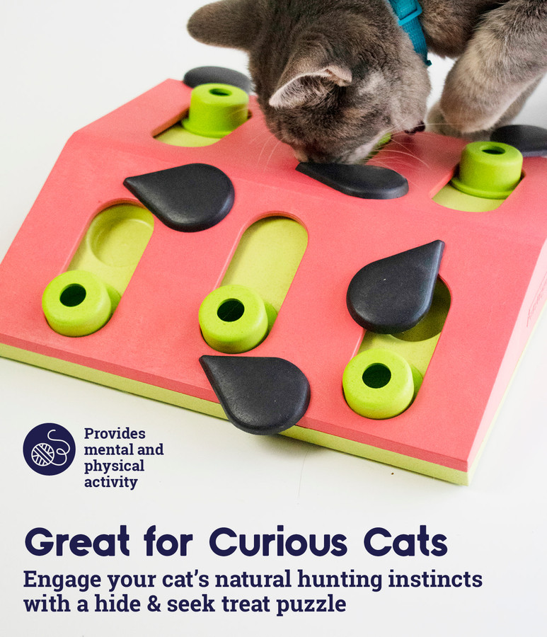 Melon Madness Puzzle & Play Cat Game Pink