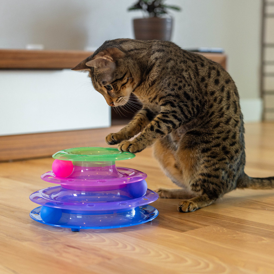 Meowsome™ Tower Of Tracks®