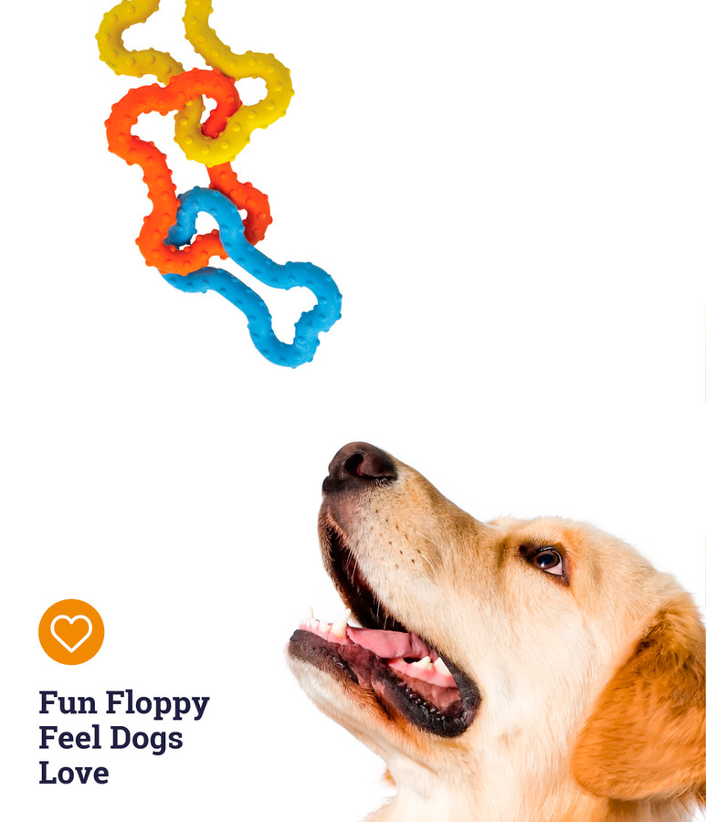 Mini Bone Tug Puppy Chew Toy Multi