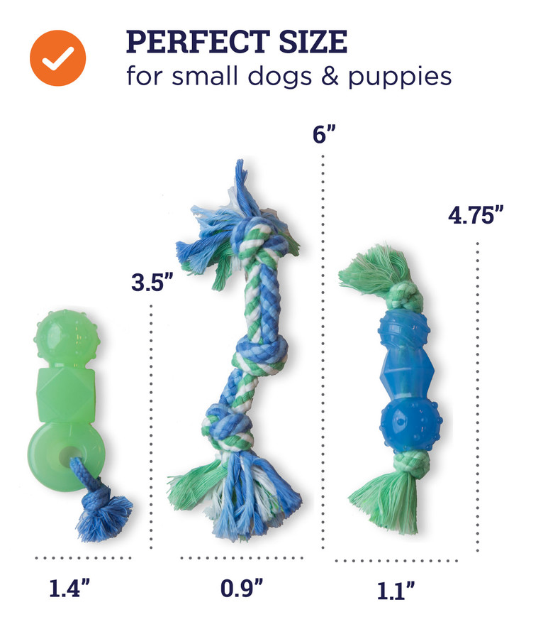 Mini Dentachew Dog Chew Toy - 3 Pack Multi