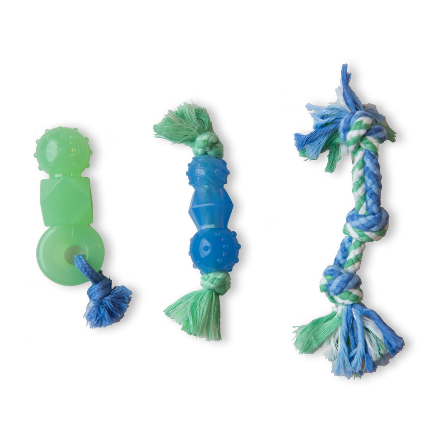 Mini Dentachew Dog Chew Toy - 3 Pack Multi