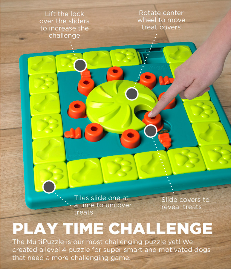 MultiPuzzle Interactive Dog Treat Puzzle Toy Blue