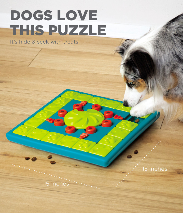 MultiPuzzle Interactive Dog Treat Puzzle Toy Blue