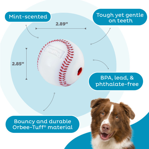 Orbee-Tuff Baseball Treat-Dispensing Dog Chew Toy White