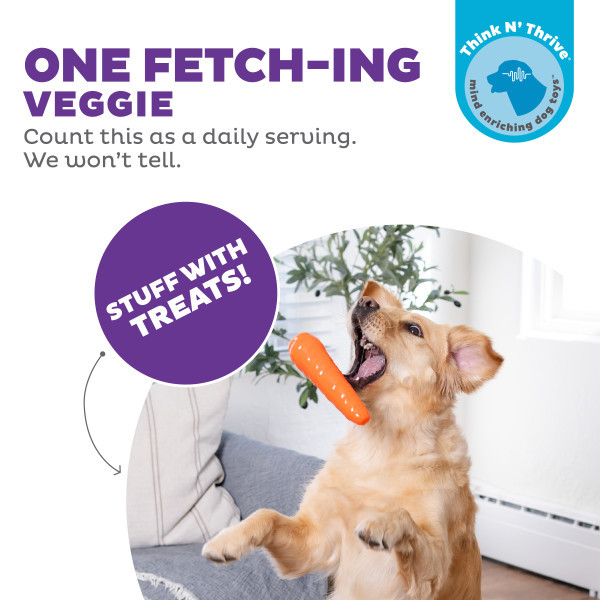 Orbee-Tuff Carrot Treat-Dispensing Dog Chew Toy Orange