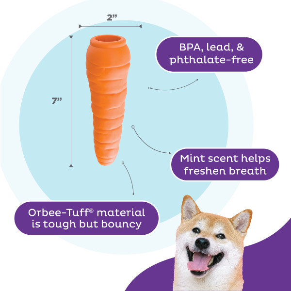 Orbee-Tuff Carrot Treat-Dispensing Dog Chew Toy Orange