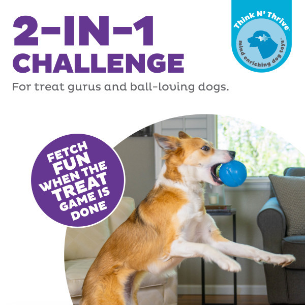 Orbee-Tuff Guru Treat-Dispensing Puzzle Dog Toy