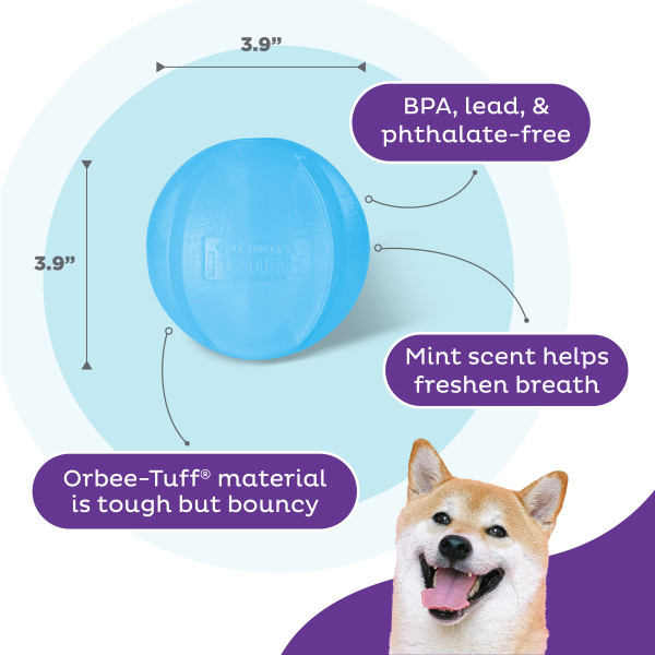 Orbee-Tuff Guru Treat-Dispensing Puzzle Dog Toy