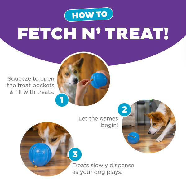 Orbee-Tuff Guru Treat-Dispensing Puzzle Dog Toy
