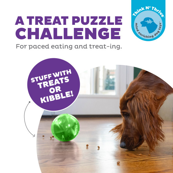 Orbee-Tuff Mazee Interactive Puzzle Dog Toy
