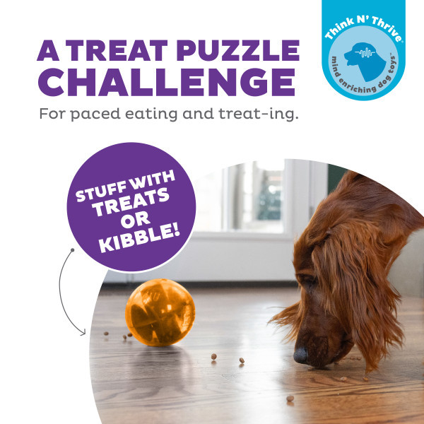 Orbee-Tuff Mazee Interactive Puzzle Dog Toy Orange