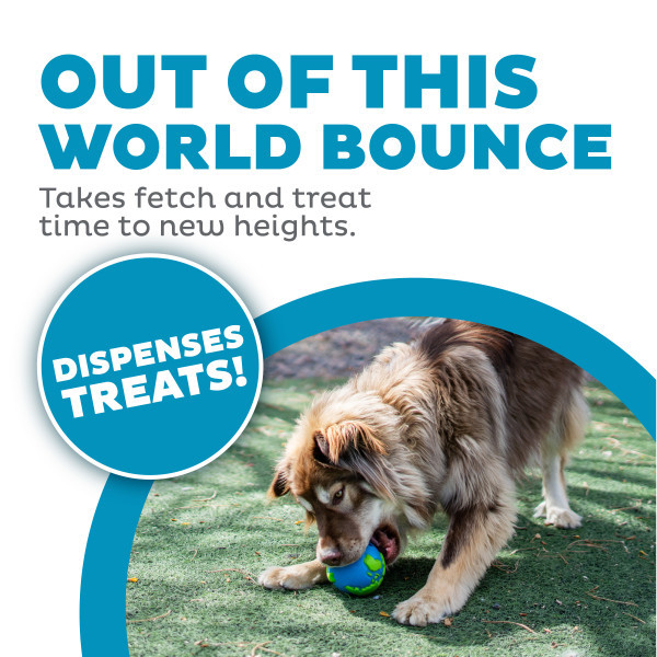 Orbee-Tuff Planet Ball Treat-Dispensing Dog Toy Large