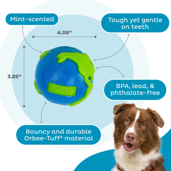 Orbee-Tuff Planet Ball Treat-Dispensing Dog Toy Large