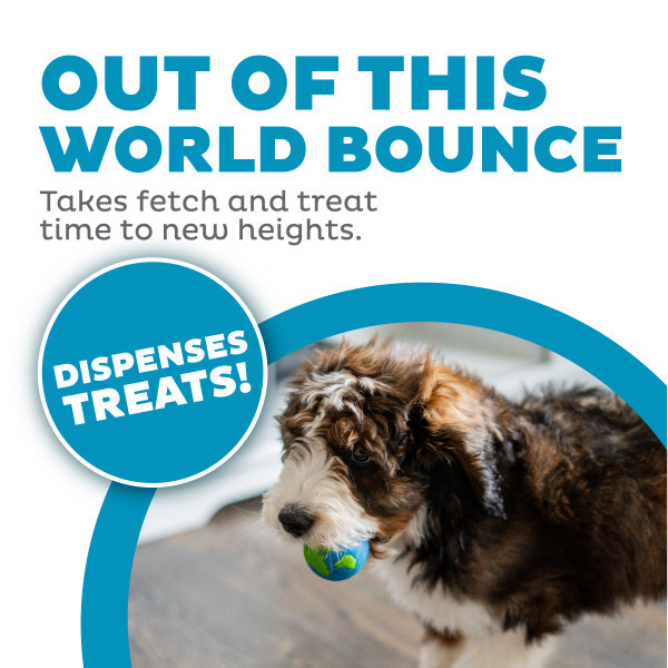 Orbee-Tuff Planet Ball Treat-Dispensing Dog Toy Medium