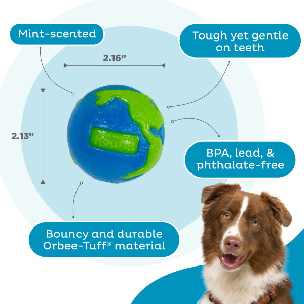Orbee-Tuff Planet Ball Treat-Dispensing Dog Toy Small
