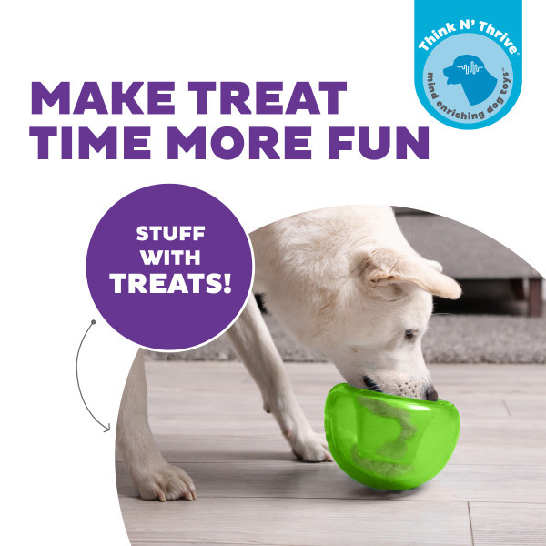 Orbee-Tuff Snoop Interactive Treat Dispensing Dog Toy Green