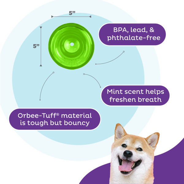 Orbee-Tuff Snoop Interactive Treat Dispensing Dog Toy Green