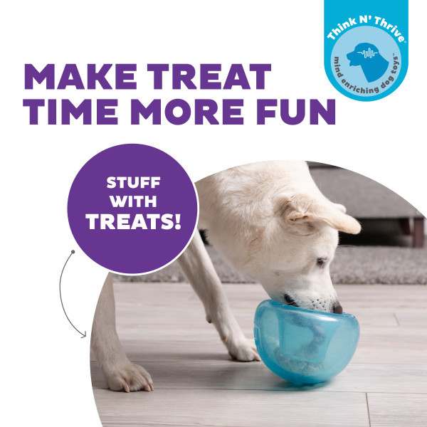 Orbee-Tuff Snoop Interactive Treat Dispensing Dog Toy Large