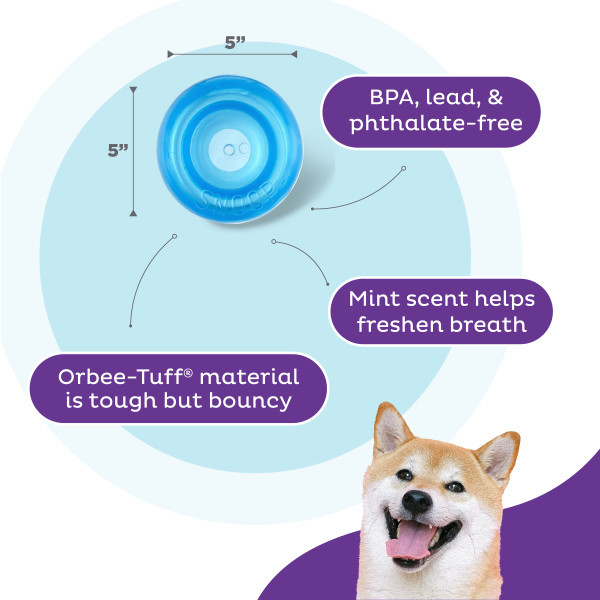 Orbee-Tuff Snoop Interactive Treat Dispensing Dog Toy Large