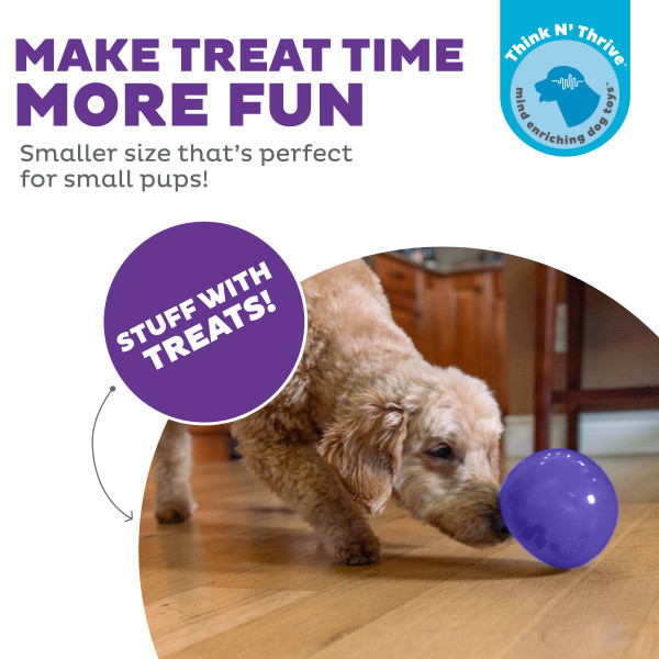 Orbee-Tuff Snoop Interactive Treat Dispensing Dog Toy Small