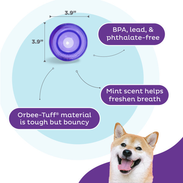 Orbee-Tuff Snoop Interactive Treat Dispensing Dog Toy Small