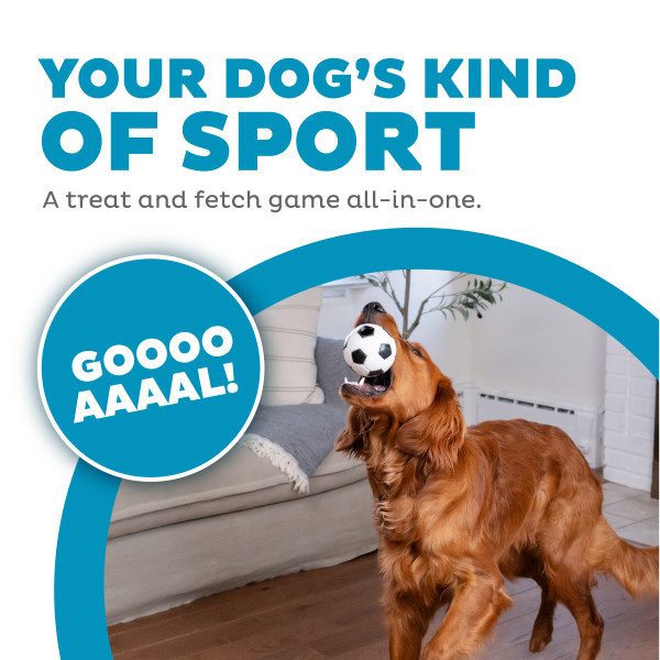 Orbee-Tuff Soccer Ball Treat-Dispensing Dog Chew Toy White