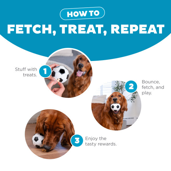 Orbee-Tuff Soccer Ball Treat-Dispensing Dog Chew Toy White