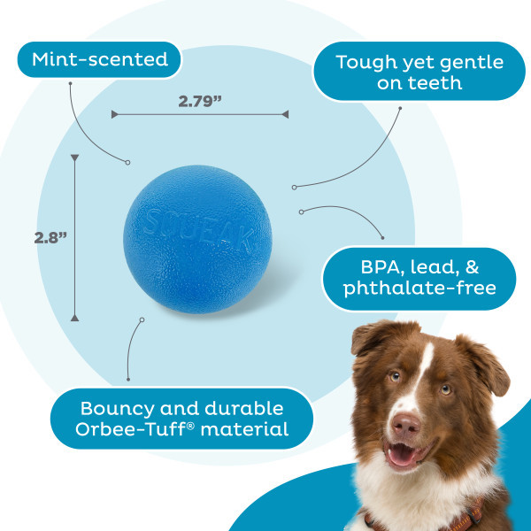 Orbee-Tuff Squeak Ball Dog Toy