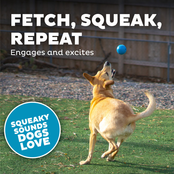 Orbee-Tuff Squeak Ball Dog Toy