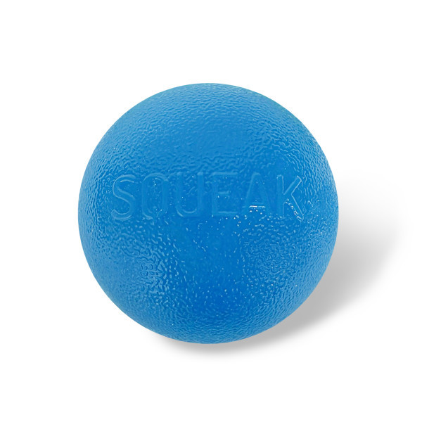 Orbee-Tuff Squeak Ball Dog Toy