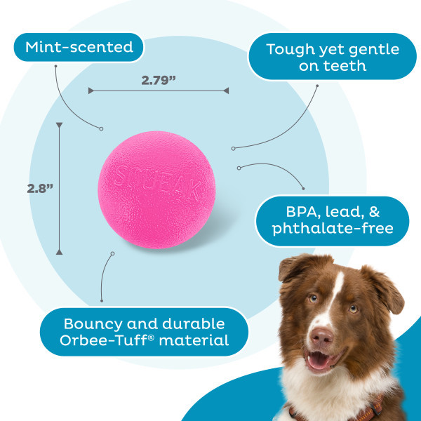 Orbee-Tuff Squeak Ball Dog Toy Pink
