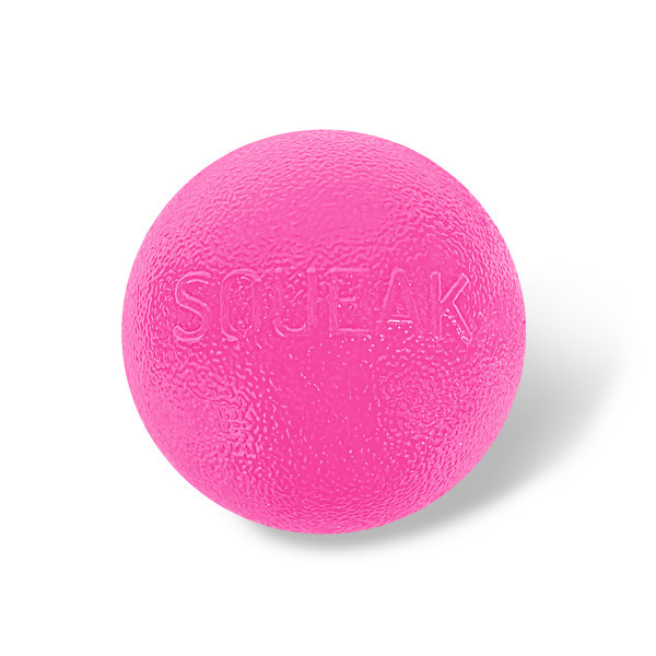 Orbee-Tuff Squeak Ball Dog Toy Pink