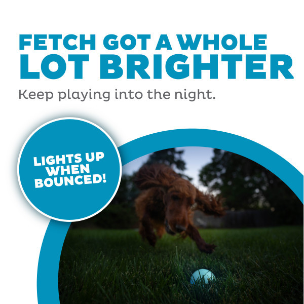 Orbee-Tuff Strobe Ball Light Up Dog Toy