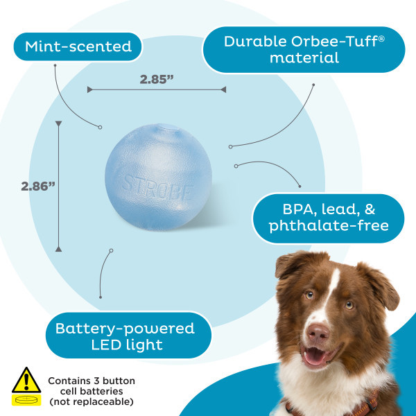 Orbee-Tuff Strobe Ball Light Up Dog Toy