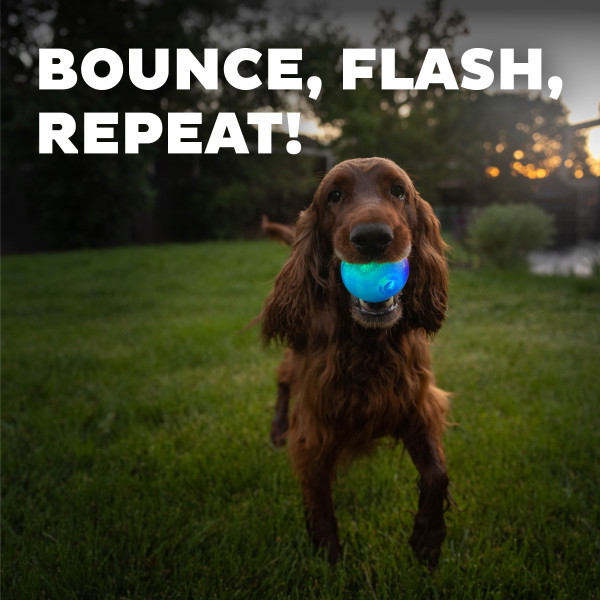 Orbee-Tuff Strobe Ball Light Up Dog Toy